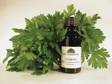 Grønn bladgrønt 30 ml
