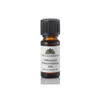 Frankincenseolje 100 ml