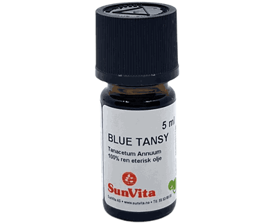 1693 Blue_Tansy-removebg.2_1.png