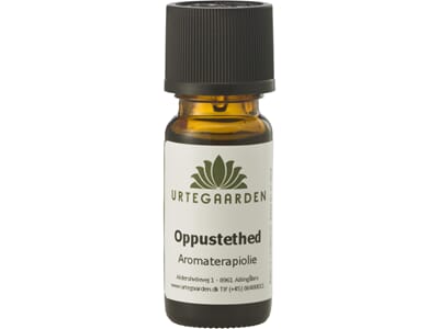 2893 oppblåsthet.jpg