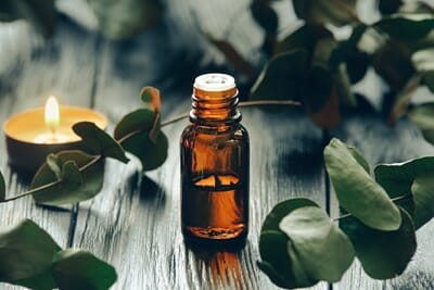 1151-1h shutterstock_1696646566 eualyptus radiata.jpg