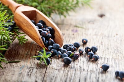 1740h shutterstock_1171038346 Einebær.jpg
