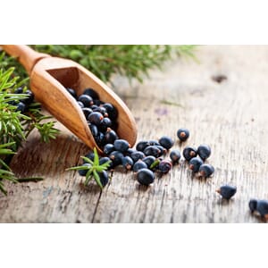 Einebær eterisk olje øko (SV)