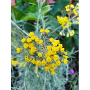 1822_Rel shutterstock_1769501597.jpg