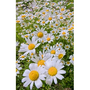 1273_Rel shutterstock_77846425.jpg