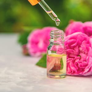 Rose Damask absolute