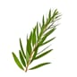 1629_Rel shutterstock_1124879453.jpg