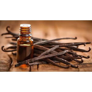 Vanilje ekstrakt øko