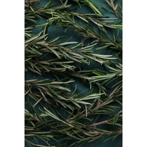 0802_Rel shutterstock_2281458279.jpg