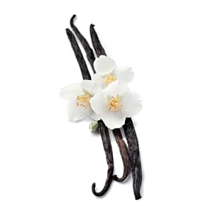 3981-2_Rel shutterstock_637484935.jpg