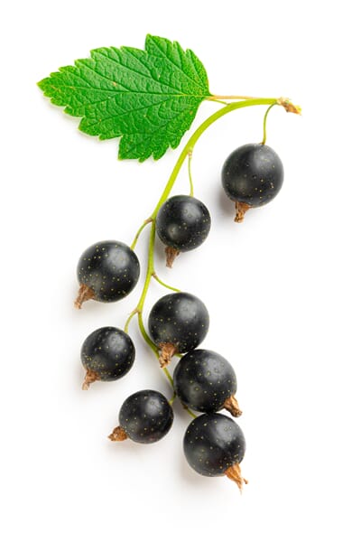 9355h shutterstock_2190792781.jpg
