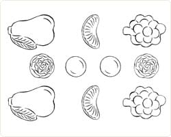 9045 7024_Såpeform div.frukter.jpg