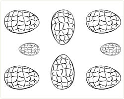 9047 9047_Påskeegg, store.jpg