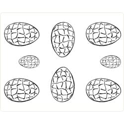 Former i plast, egg. 6 store, 2 små x 1