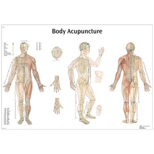 Body Acupuncture, plakat 980x680 cm, UTSOLGT