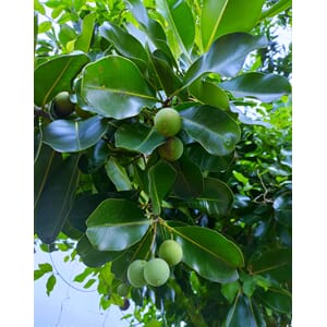 0606_Rel shutterstock_1839173224.jpg