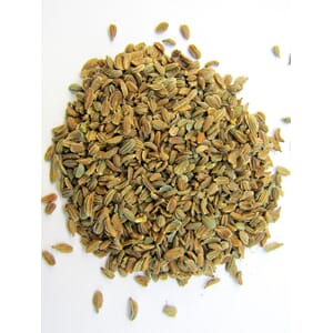 0675_Rel shutterstock_1884755758.jpg