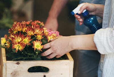 0449h shutterstock_2520106245 Neem olje.jpg