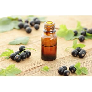 Solbærfrøolje økologisk kaldpresset