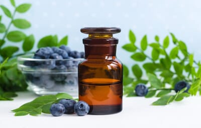 0750-1h shutterstock_1135216313 blåbærfrøolje.jpg