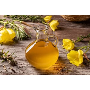 Nattlysolje GLA økologisk