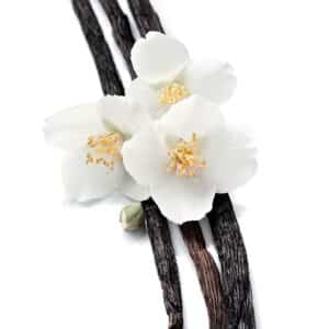 Vanilla,Sticks,With,Flowers,On,White,Backgrounds.