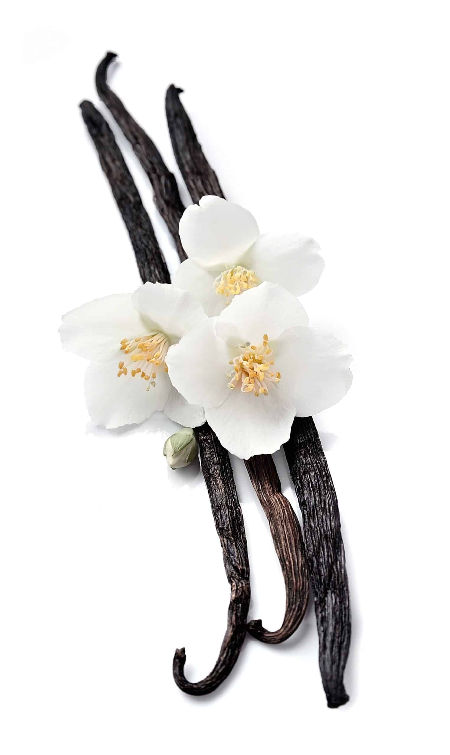 Vaniljearoma