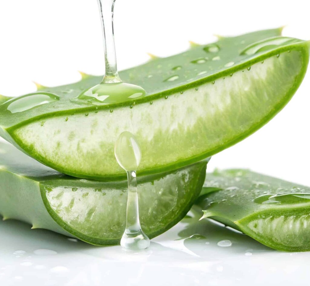 Shutterstock 2698157579 ingredienser 1 scaled